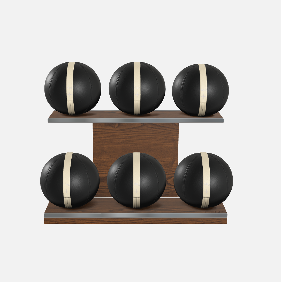 Moxa Leather Medicine Ball Set, Full