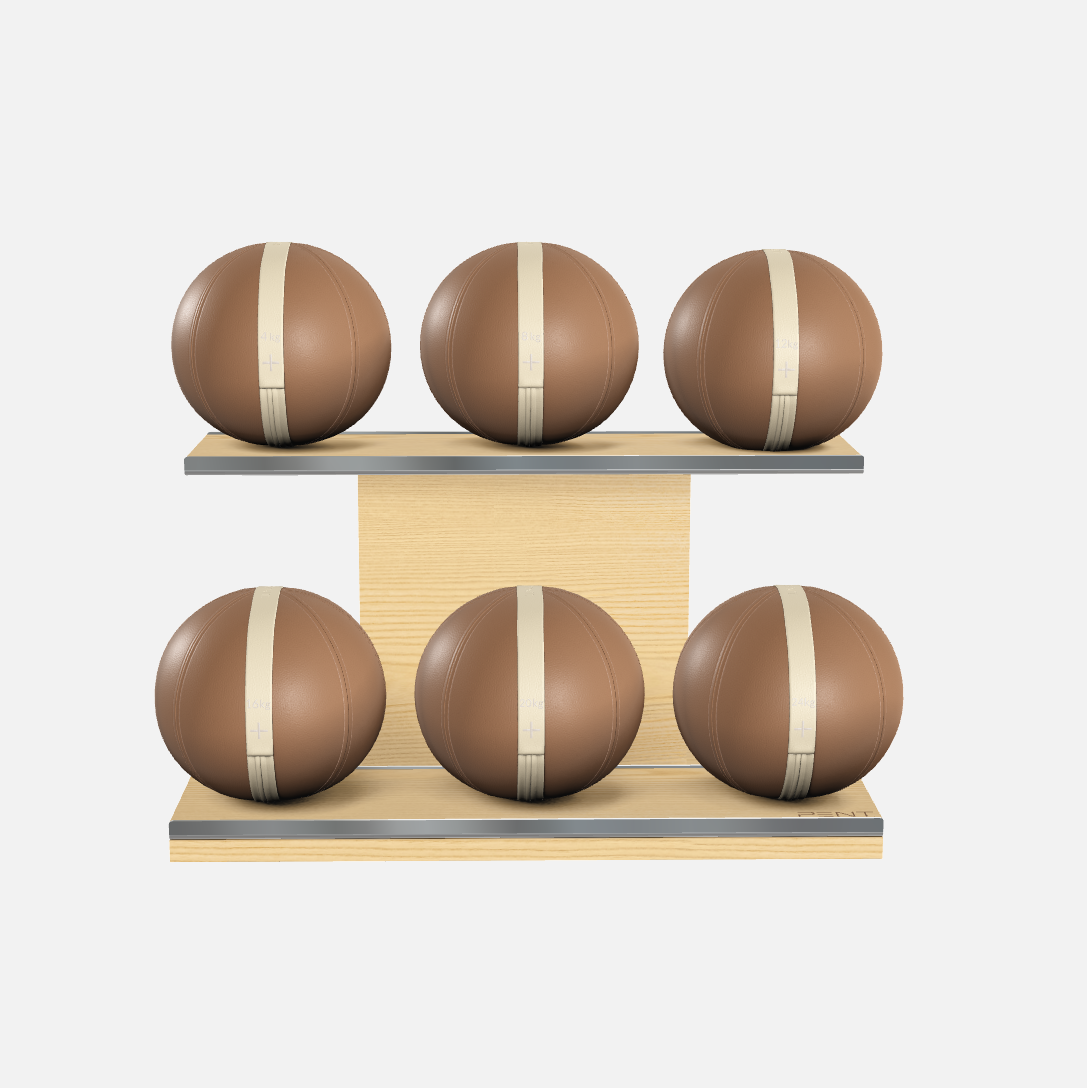 Moxa Leather Medicine Ball Set, Full