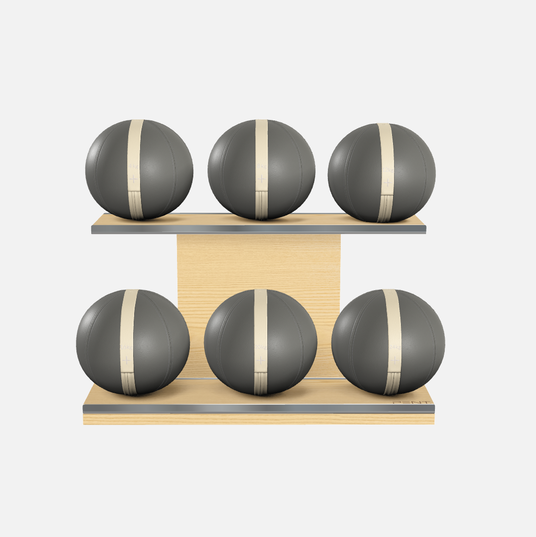 Moxa Leather Medicine Ball Set, Full