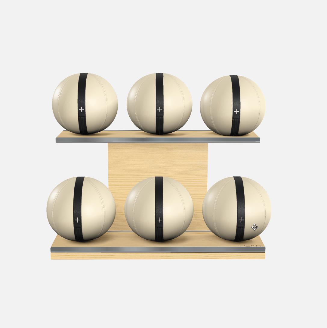Moxa Leather Medicine Ball Set, Full