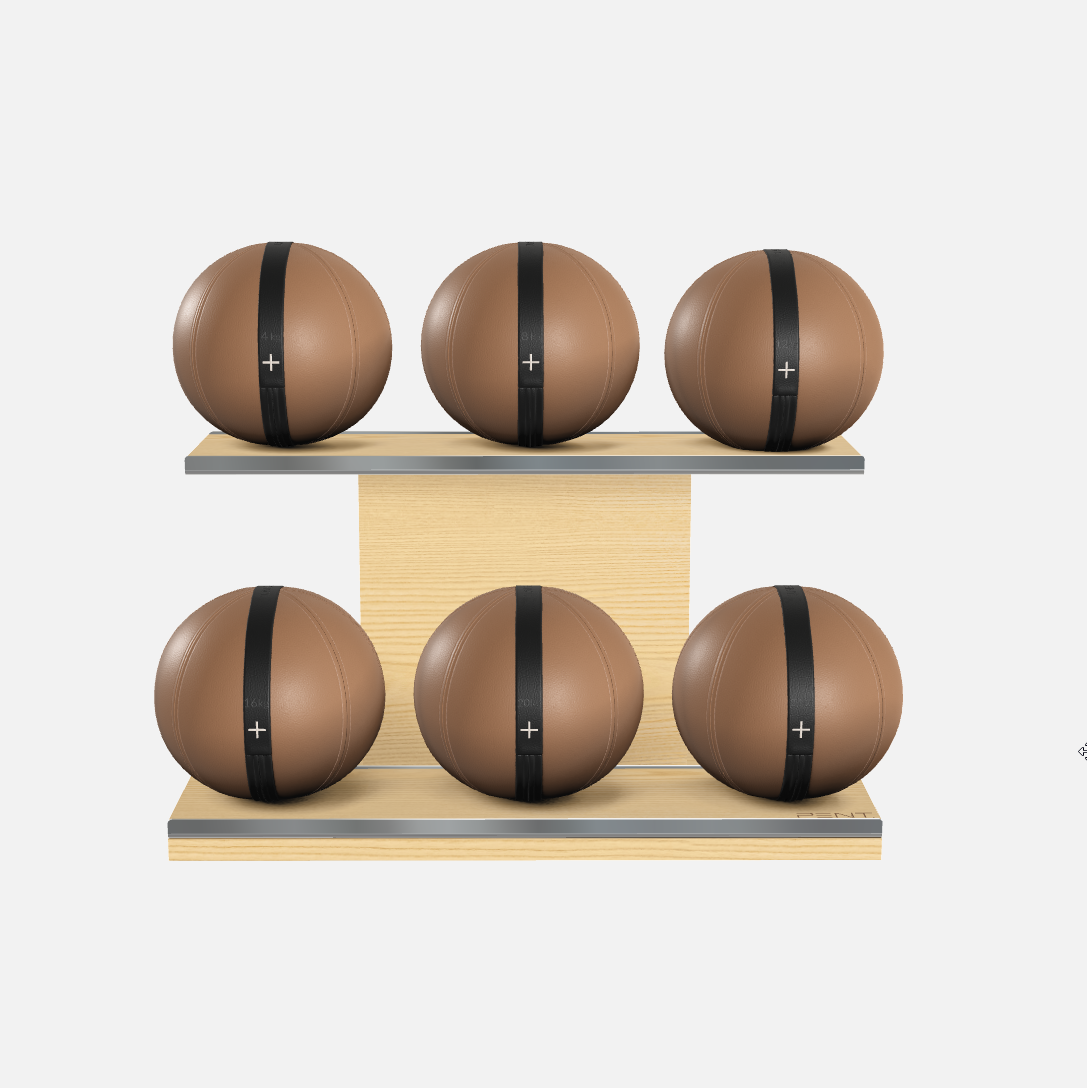 Moxa Leather Medicine Ball Set, Full