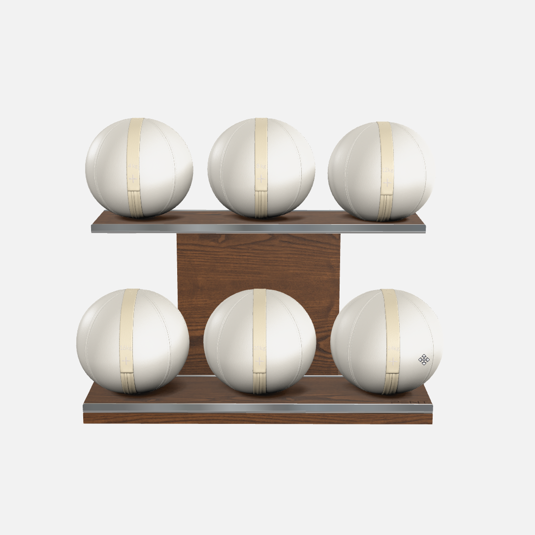 Moxa Leather Medicine Ball Set, Full