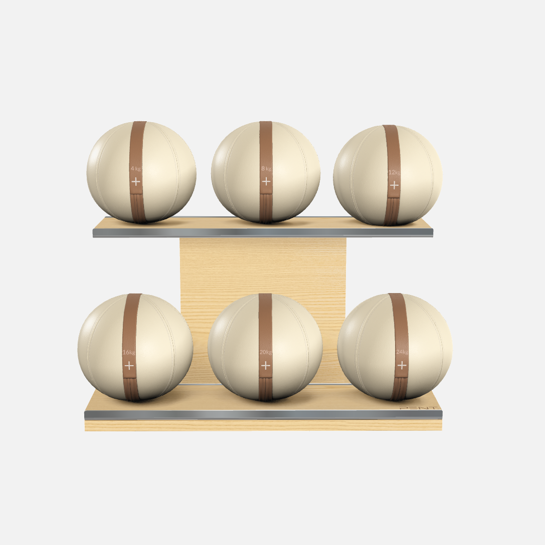 Moxa Leather Medicine Ball Set, Full