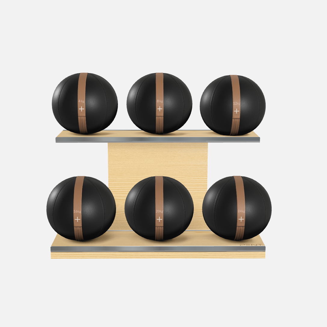 Moxa Leather Medicine Ball Set, Full