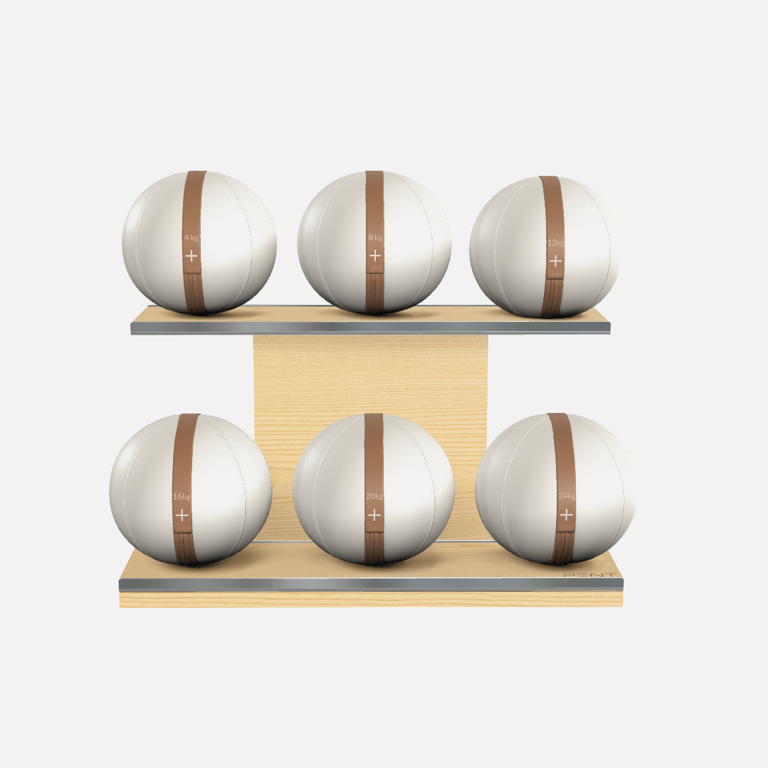 Moxa Leather Medicine Ball Set, Full