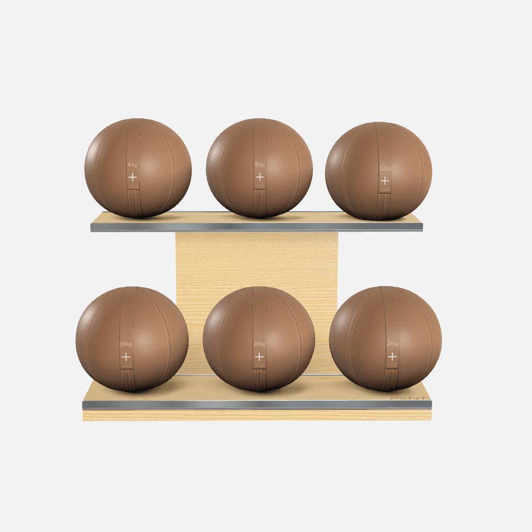 Moxa Leather Medicine Ball Set, Full