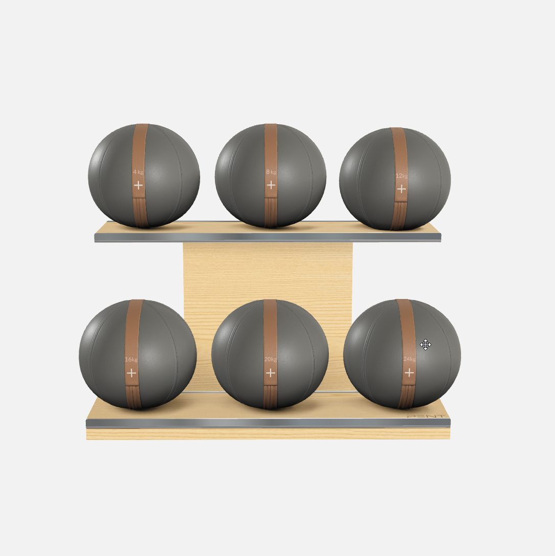 Moxa Leather Medicine Ball Set, Full