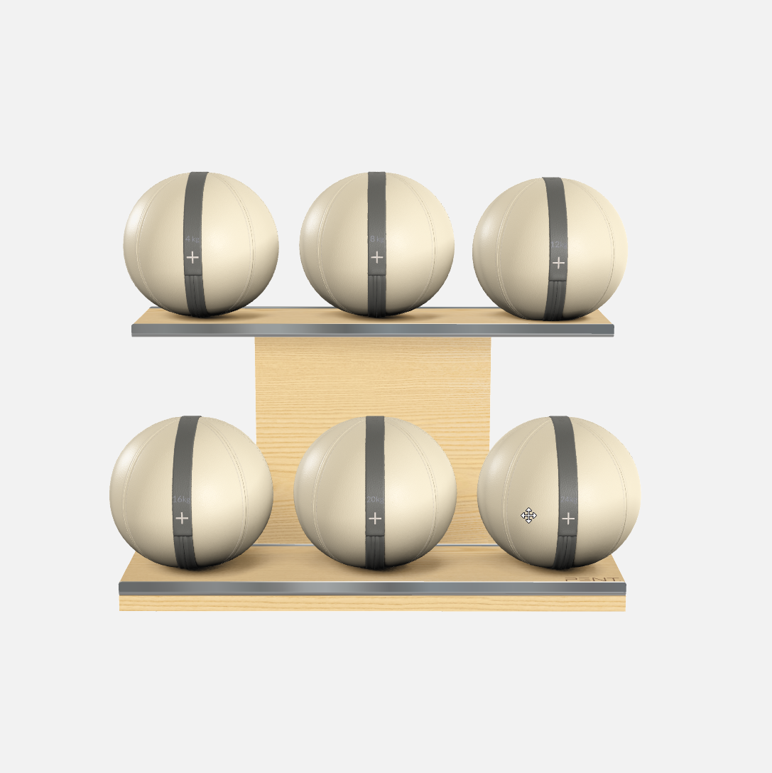 Moxa Leather Medicine Ball Set, Full
