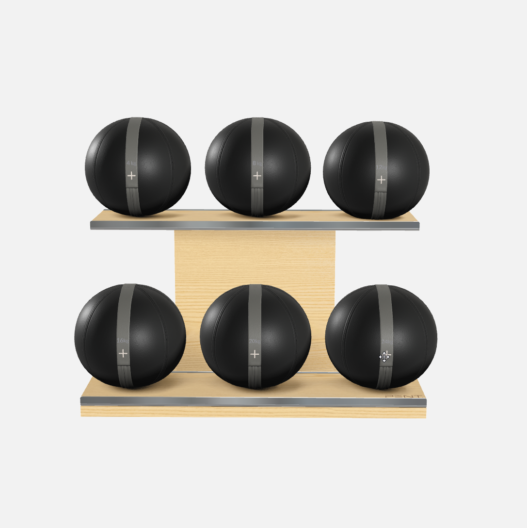 Moxa Leather Medicine Ball Set, Full