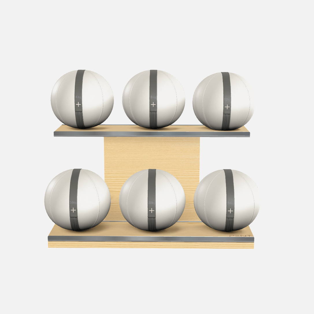Moxa Leather Medicine Ball Set, Full