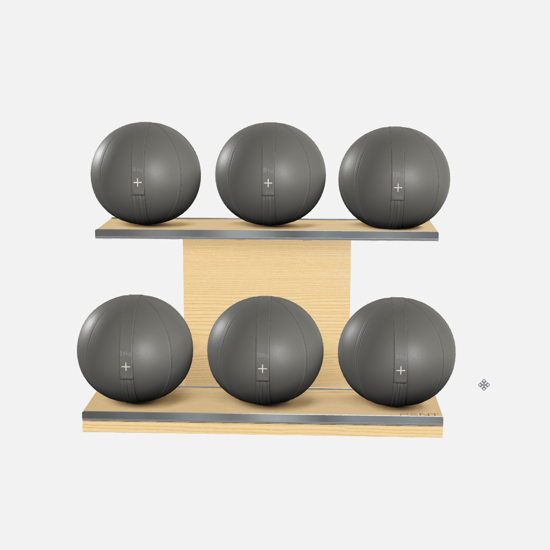 Moxa Leather Medicine Ball Set, Full