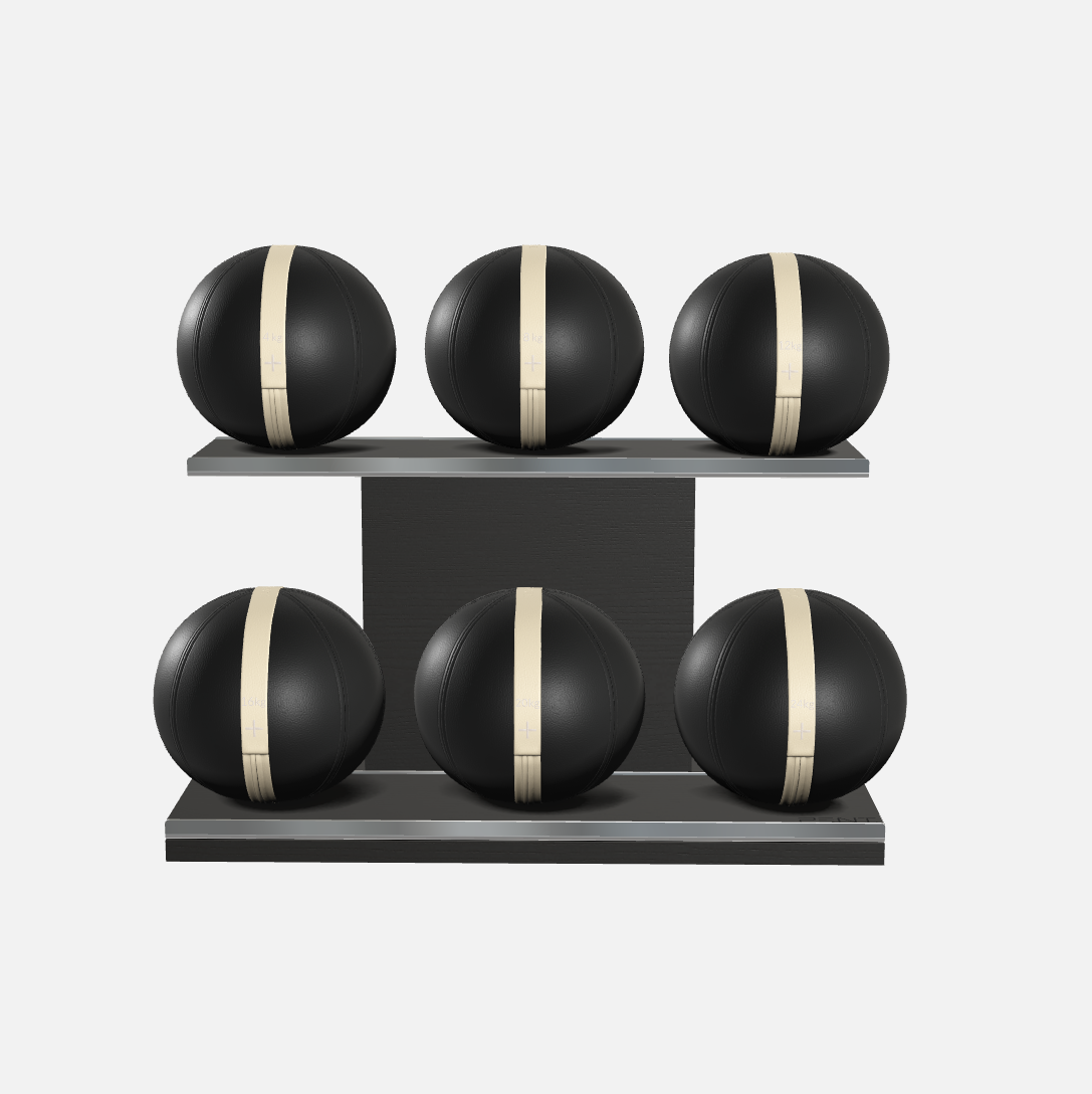Moxa Leather Medicine Ball Set, Full