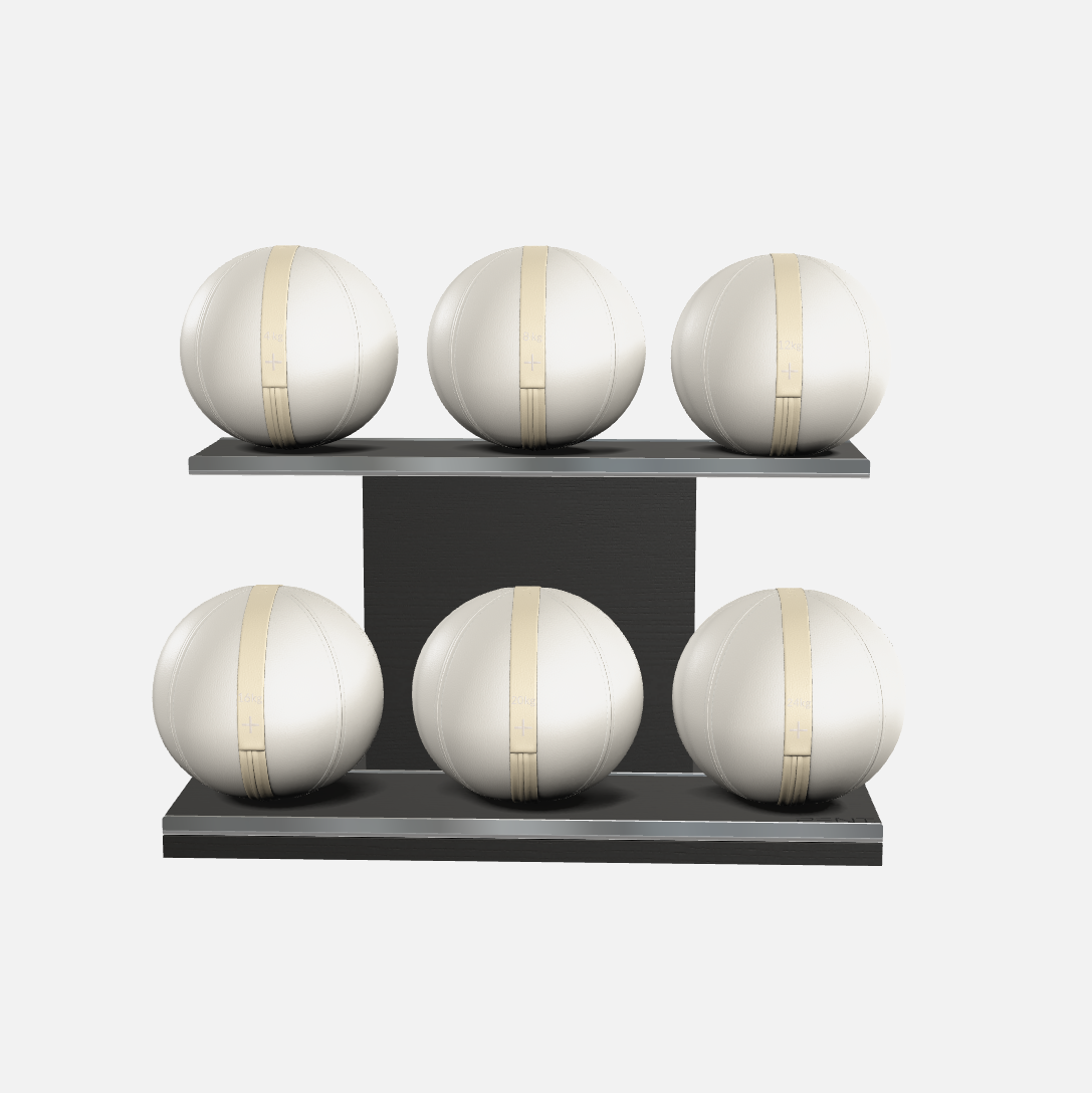 Moxa Leather Medicine Ball Set, Full