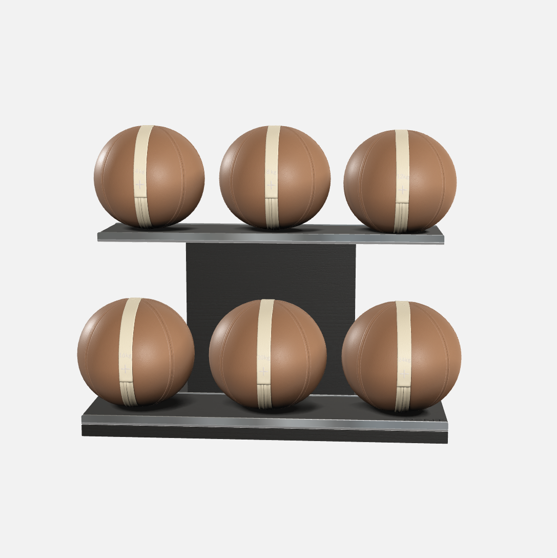 Moxa Leather Medicine Ball Set, Full