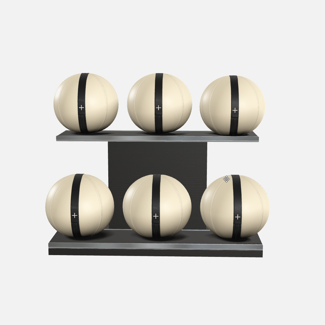 Moxa Leather Medicine Ball Set, Full