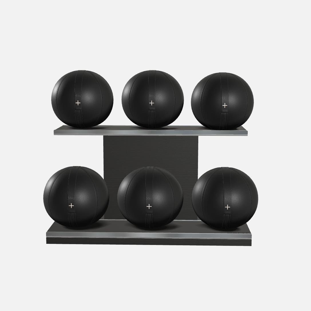 Moxa Leather Medicine Ball Set, Full