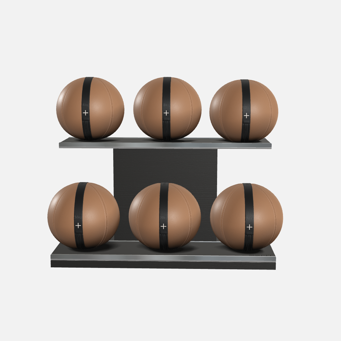 Moxa Leather Medicine Ball Set, Full