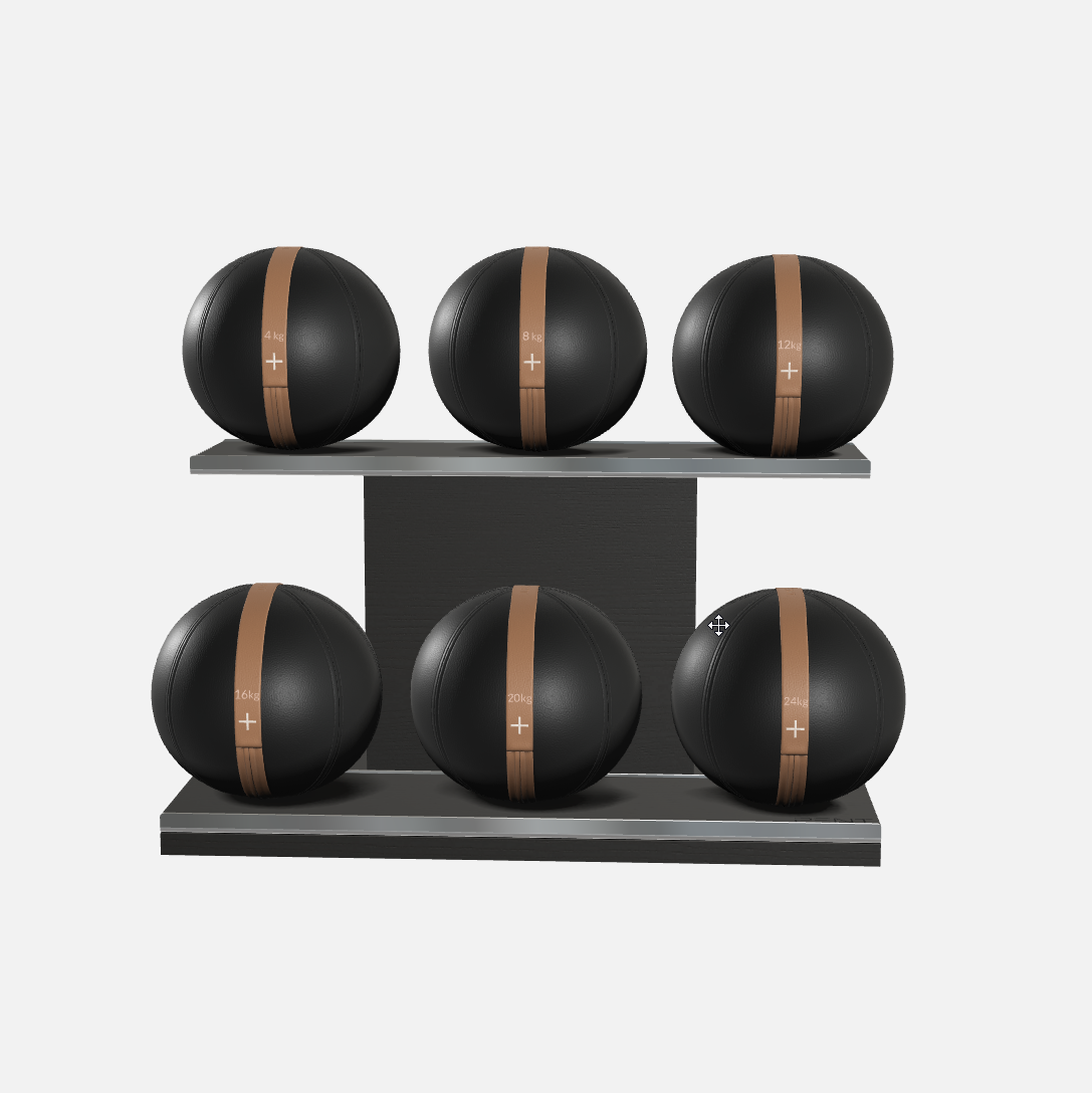 Moxa Leather Medicine Ball Set, Full