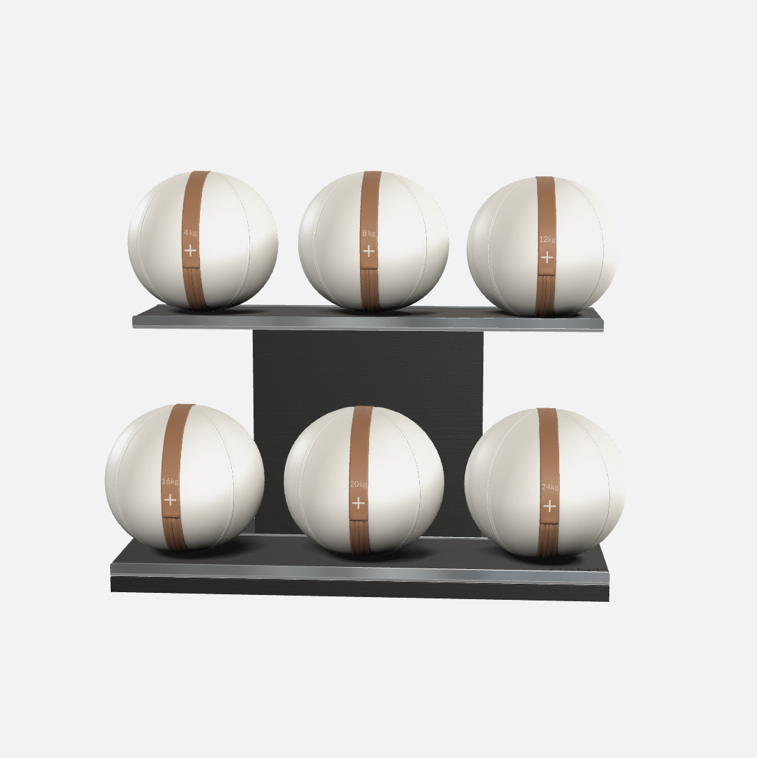 Moxa Leather Medicine Ball Set, Full
