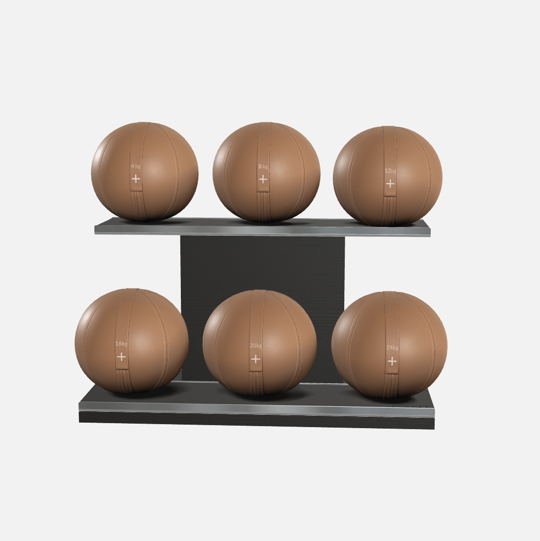 Moxa Leather Medicine Ball Set, Full