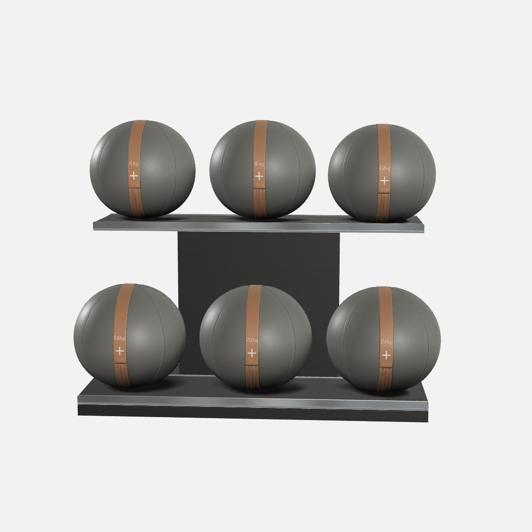 Moxa Leather Medicine Ball Set, Full