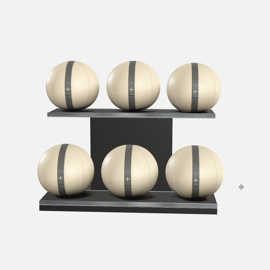 Moxa Leather Medicine Ball Set, Full