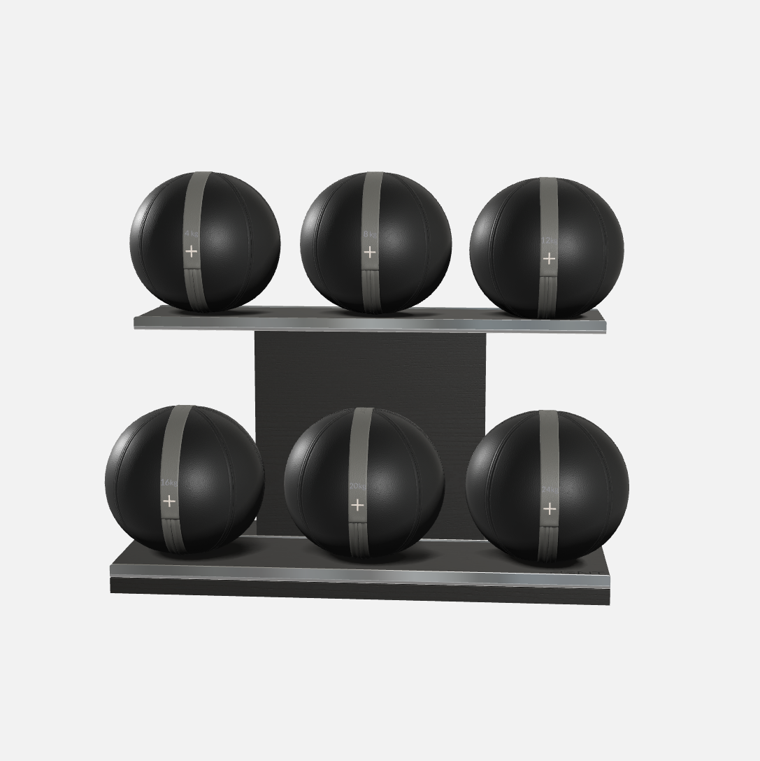 Moxa Leather Medicine Ball Set, Full