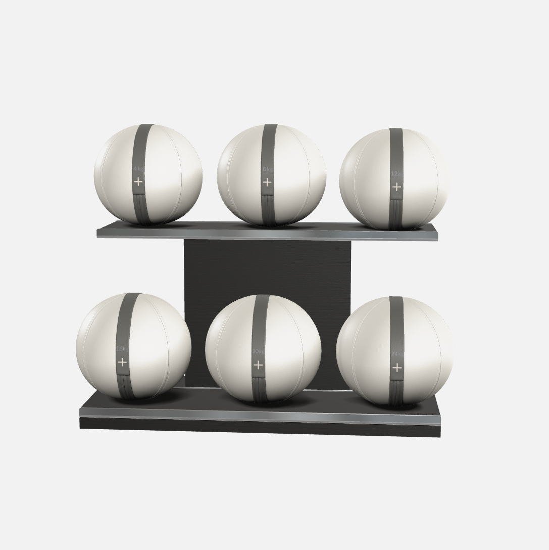 Moxa Leather Medicine Ball Set, Full