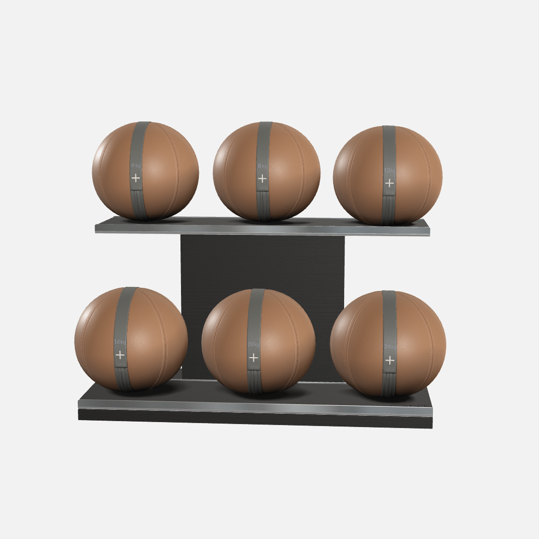 Moxa Leather Medicine Ball Set, Full