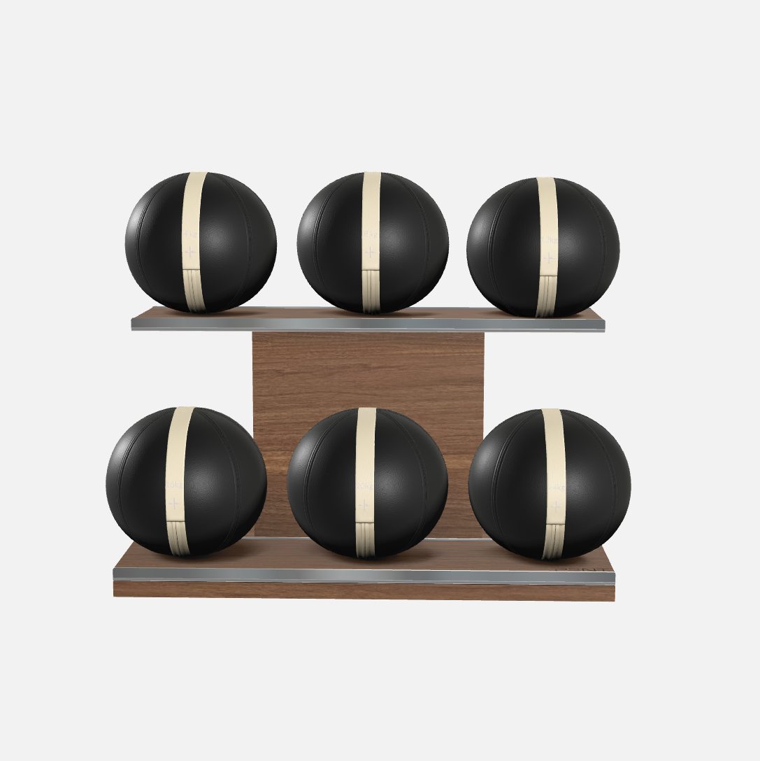 Moxa Leather Medicine Ball Set, Full