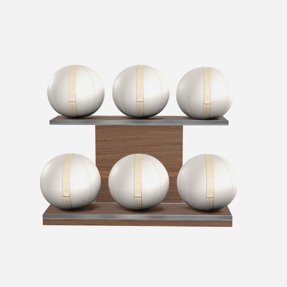 Moxa Leather Medicine Ball Set, Full