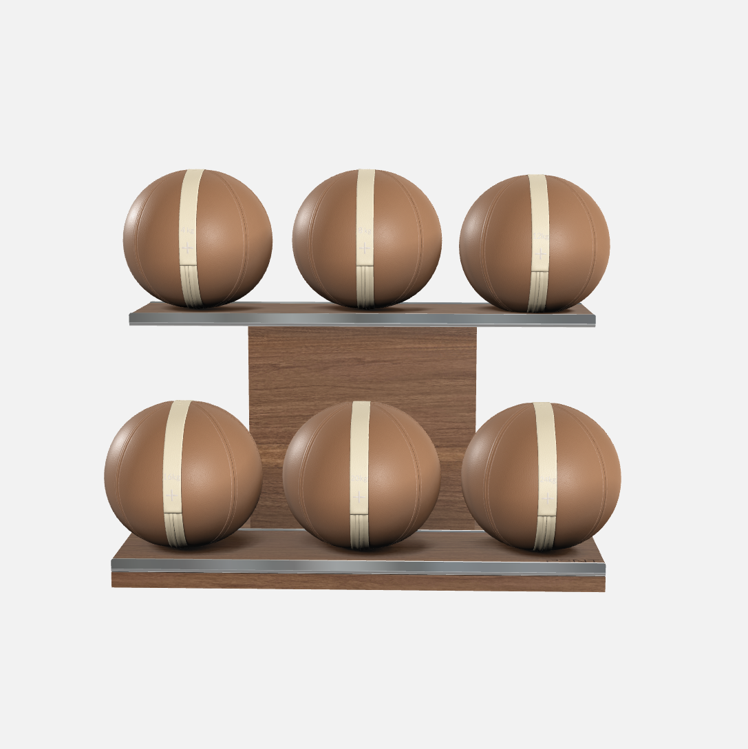 Moxa Leather Medicine Ball Set, Full