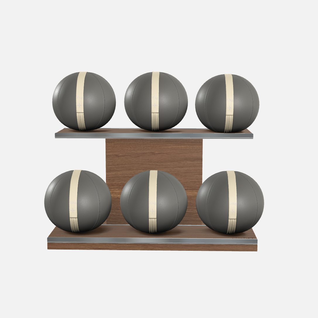 Moxa Leather Medicine Ball Set, Full