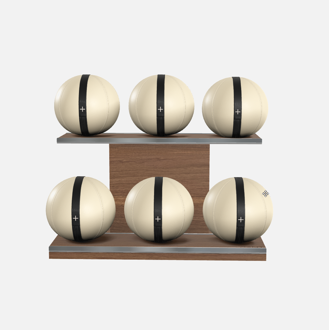 Moxa Leather Medicine Ball Set, Full