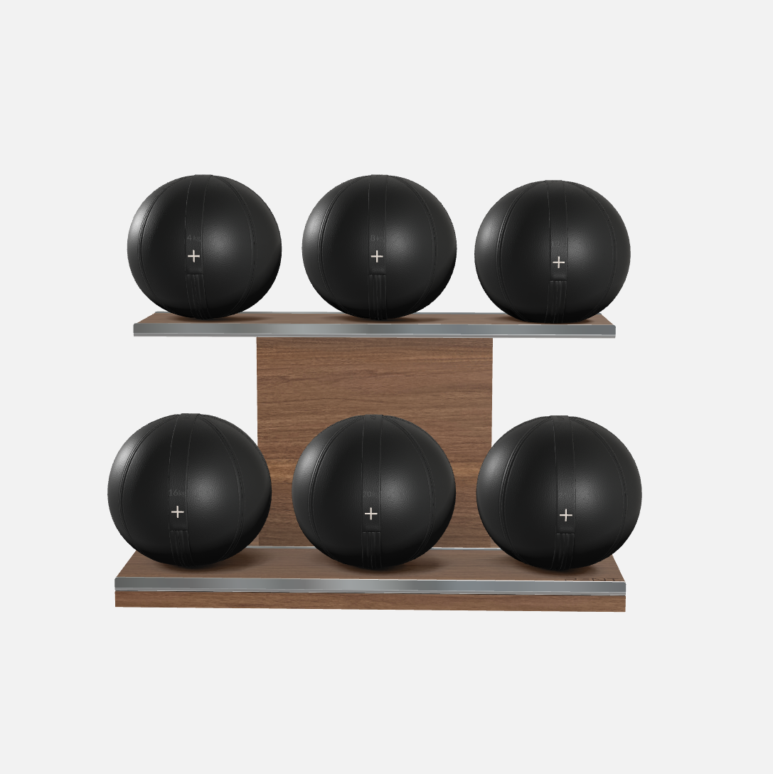Moxa Leather Medicine Ball Set, Full