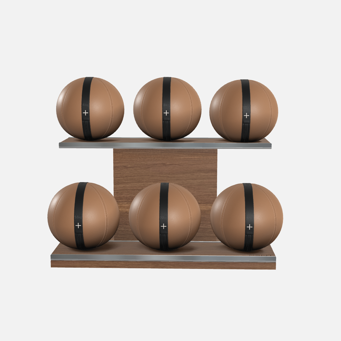 Moxa Leather Medicine Ball Set, Full
