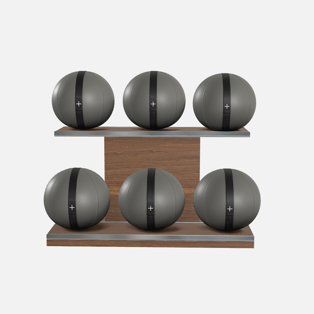 Moxa Leather Medicine Ball Set, Full