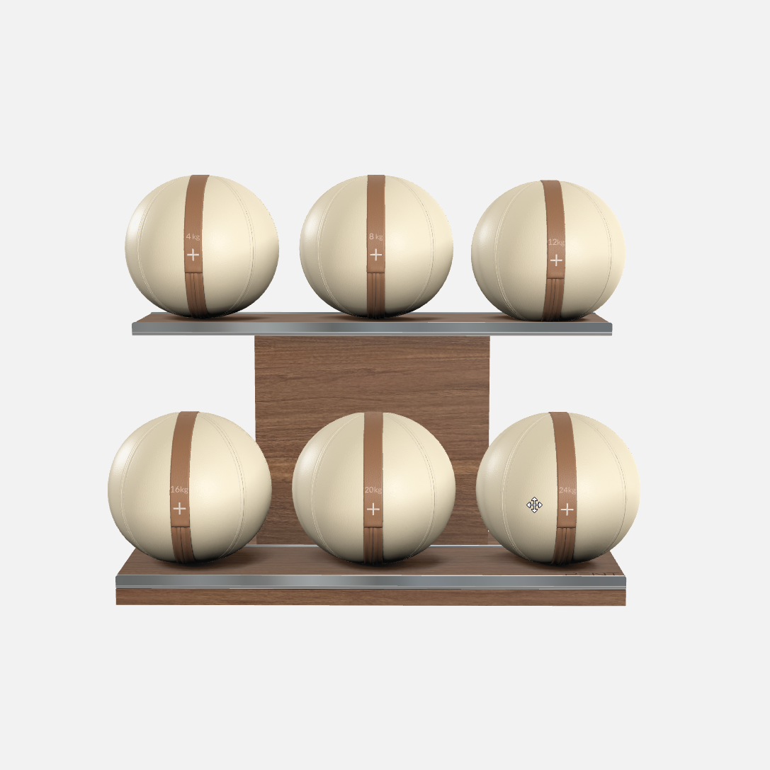Moxa Leather Medicine Ball Set, Full