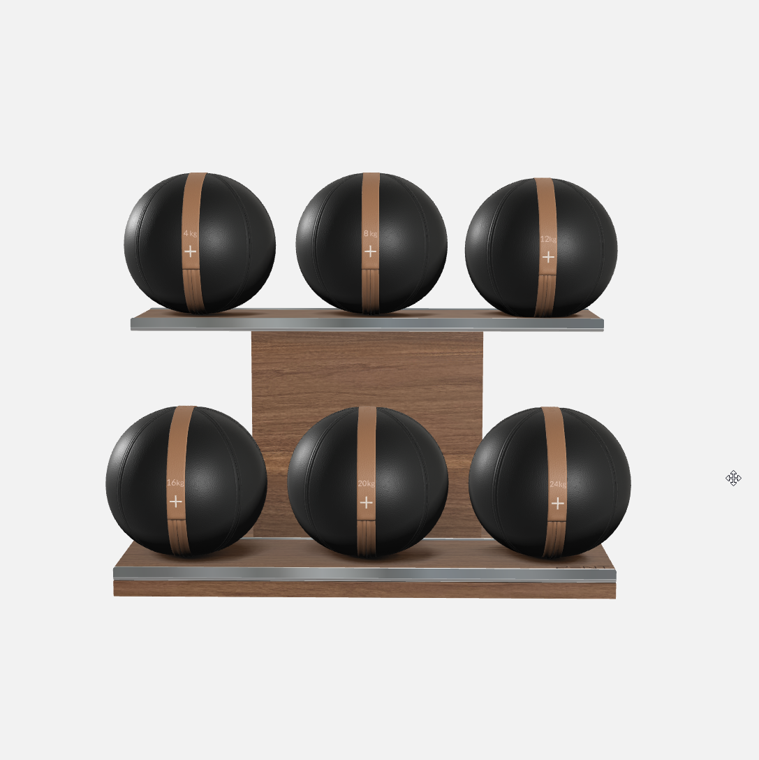 Moxa Leather Medicine Ball Set, Full