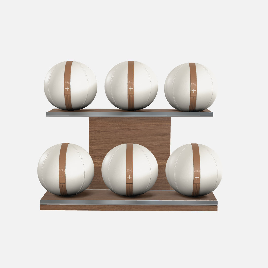 Moxa Leather Medicine Ball Set, Full