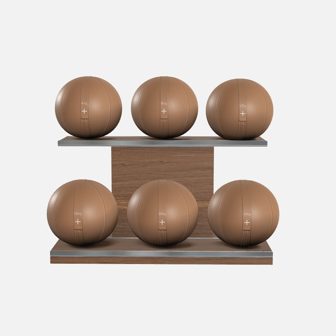 Moxa Leather Medicine Ball Set, Full