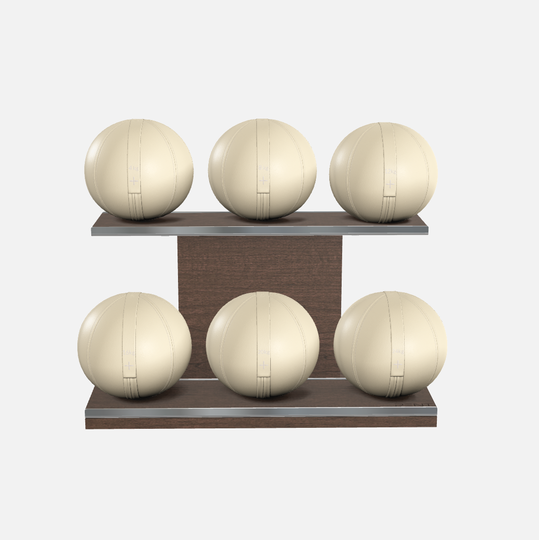Moxa Leather Medicine Ball Set, Full