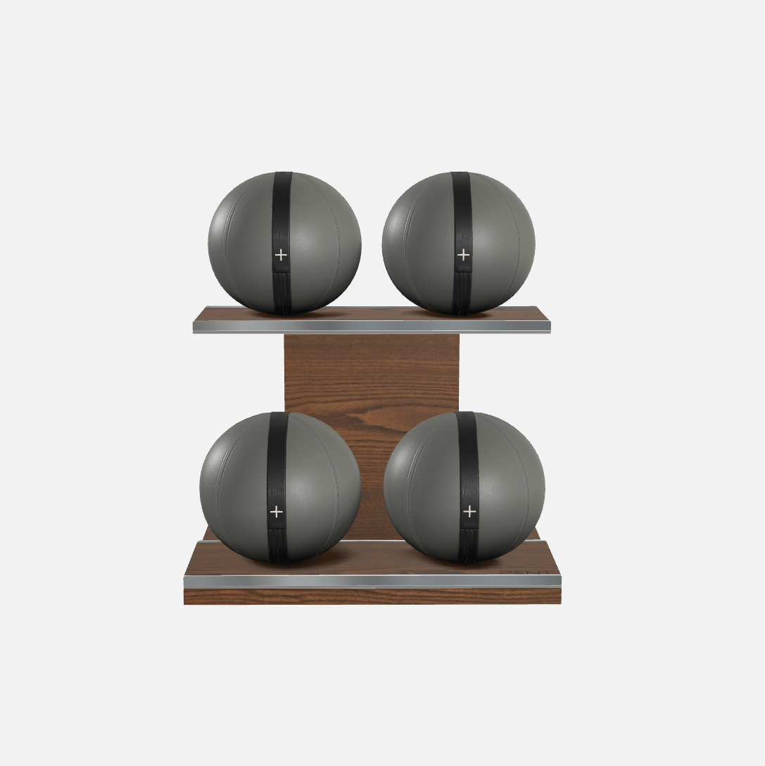 Moxa Leather Medicine Ball Set, Light