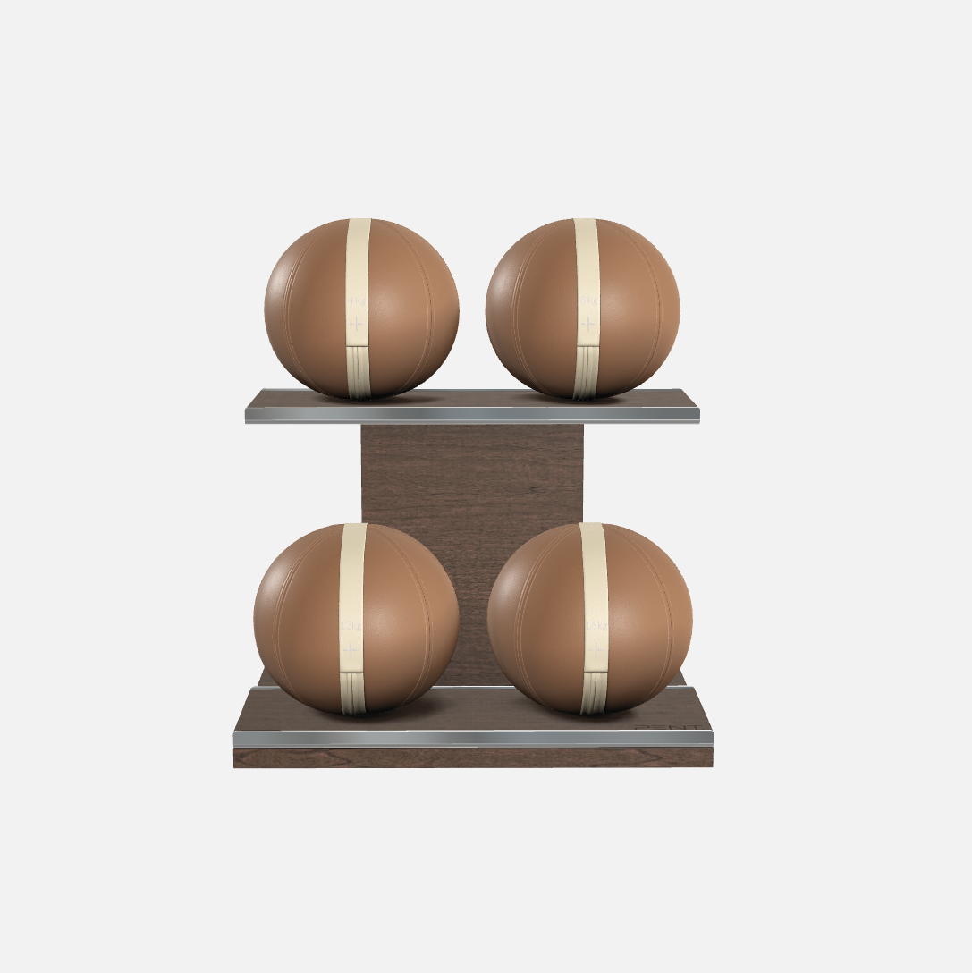 Moxa Leather Medicine Ball Set, Light