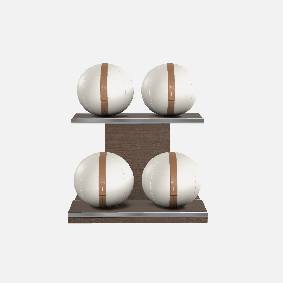 Moxa Leather Medicine Ball Set, Light
