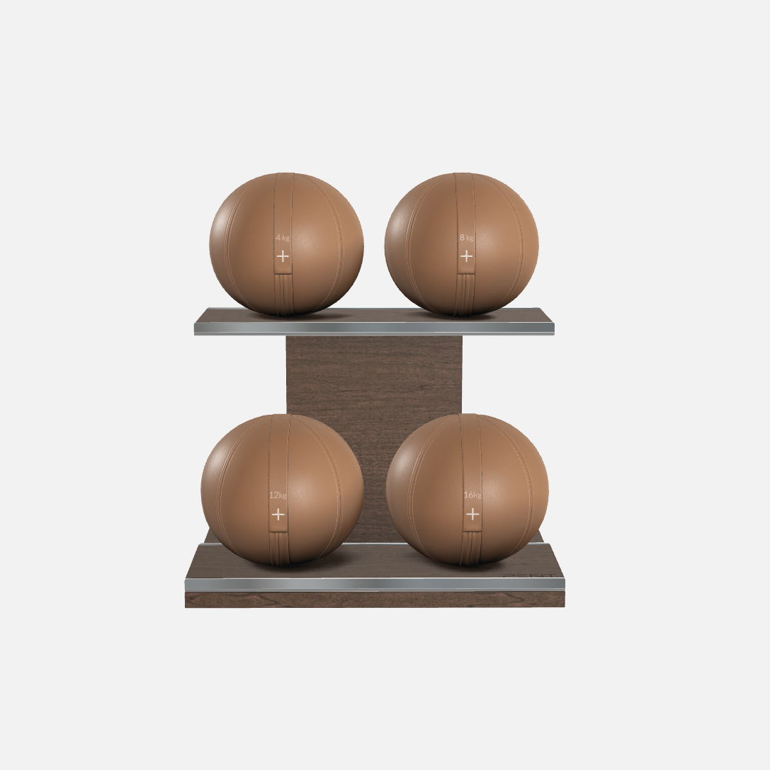 Moxa Leather Medicine Ball Set, Power