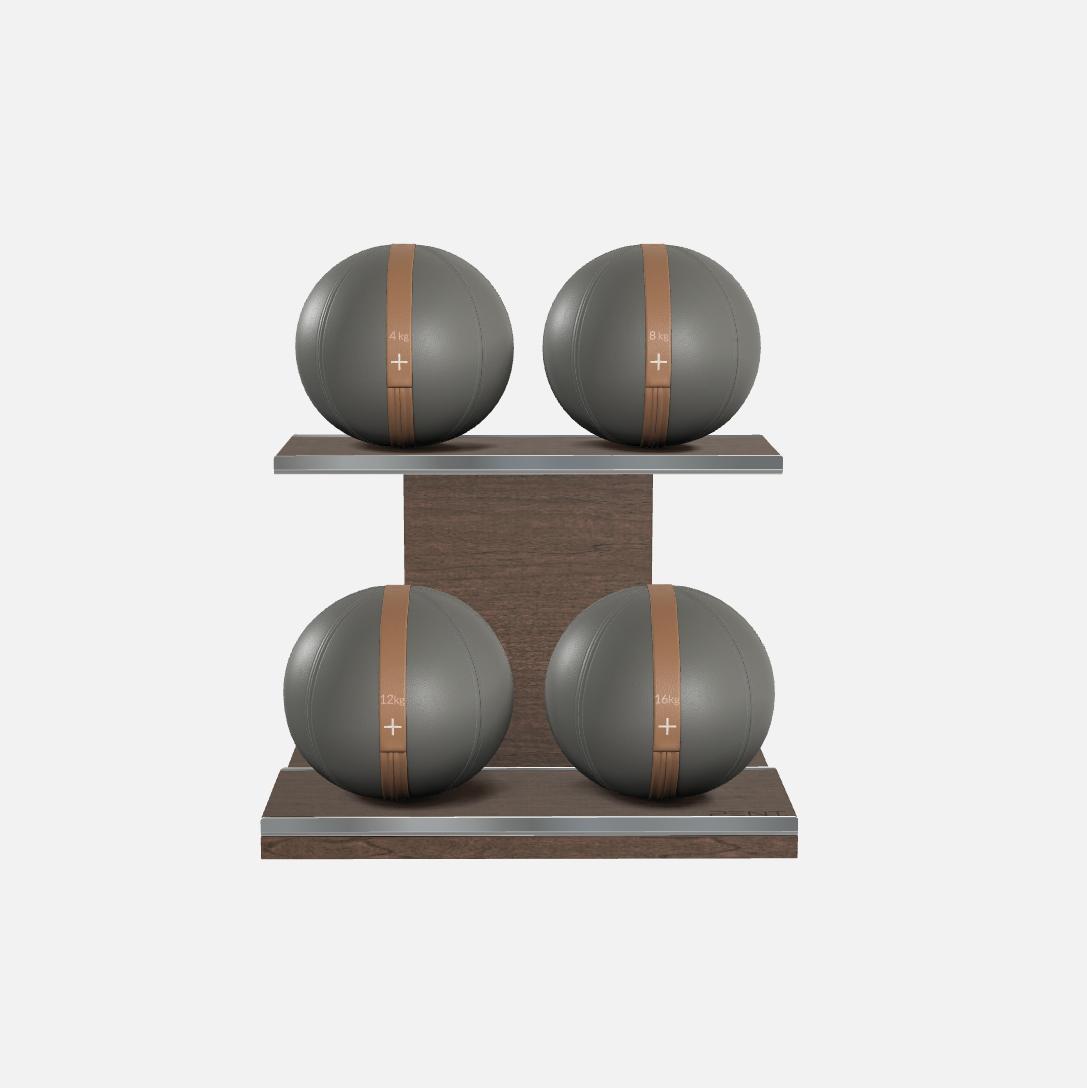 Moxa Leather Medicine Ball Set, Power