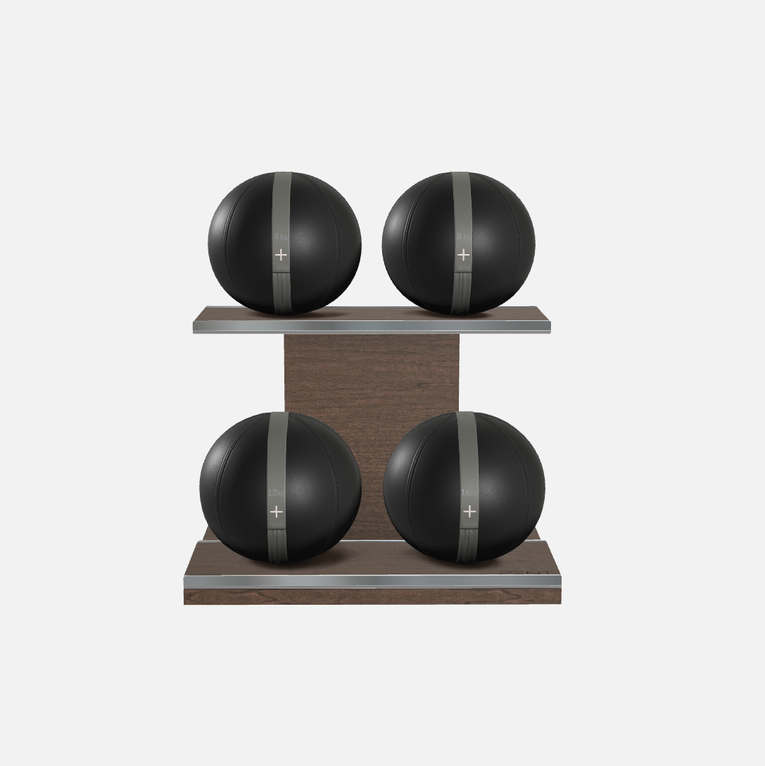 Moxa Leather Medicine Ball Set, Light