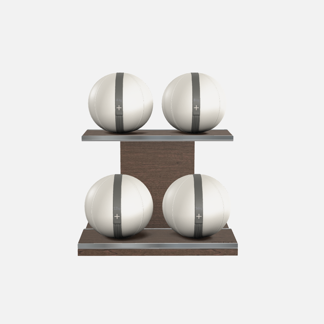 Moxa Leather Medicine Ball Set, Power