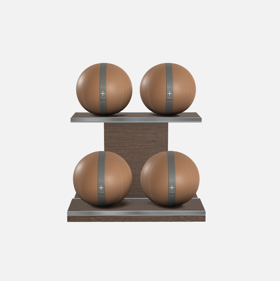 Moxa Leather Medicine Ball Set, Light
